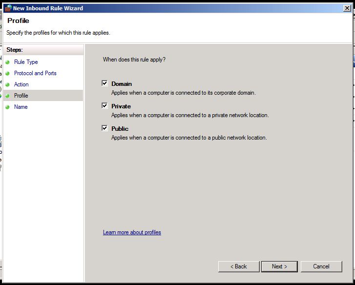 Check all as shown below (i.e. "Domain", "Private", and "Public") and click Next.