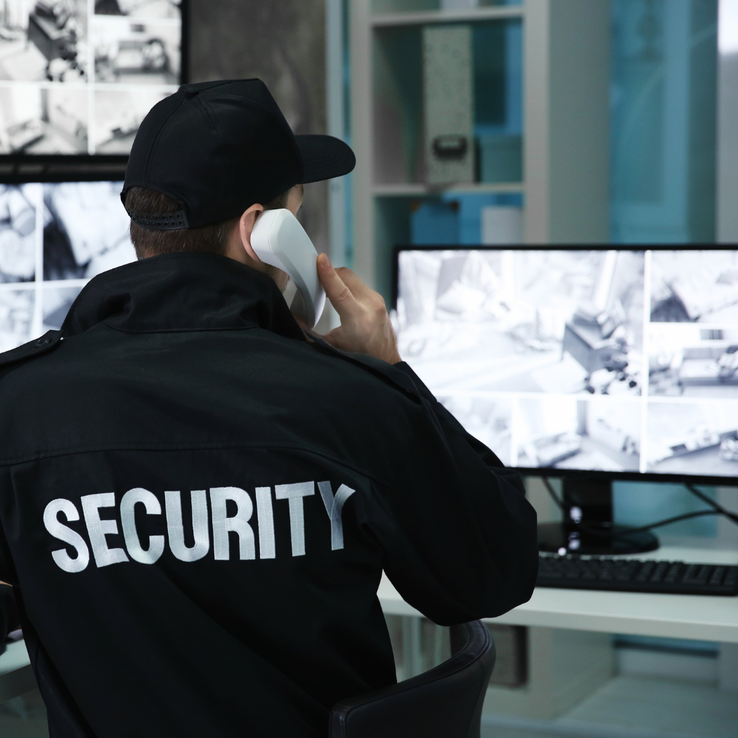 Sector-Specific CCTV Protection 